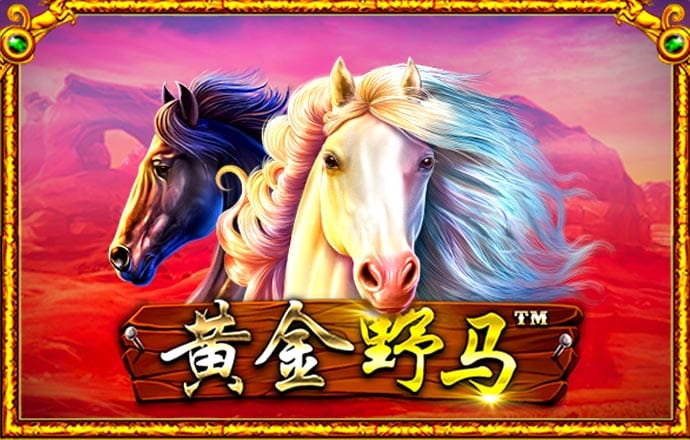 bbv体育官网入口