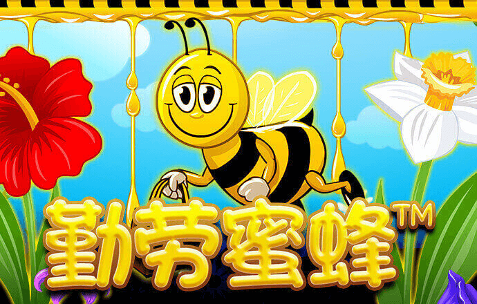 竞速体育官方